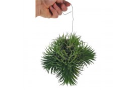 Tillandsia Tillandsia ionantha clumb XXL 1 bl.