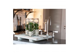 Arrangementen waterplanten in glas