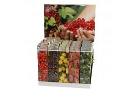 Fruitbomen Klein Fruit mix