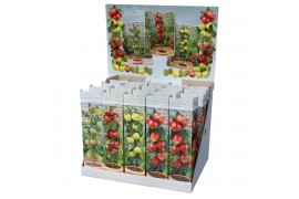 Malus domestica mini fruit mix 4 mix