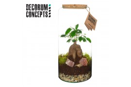 Arrangementen kamerplanten Terrarium Hercules (Decorum concepts) 1 pp