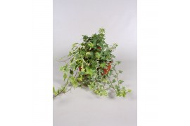 Hedera helix mix Hedera helix gemengd 30 - 34  cm 9 pp