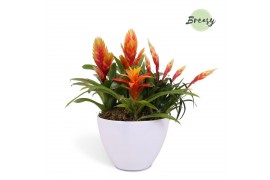 Arrangementen bromelia mix Panama keramiek - Orange Bowl