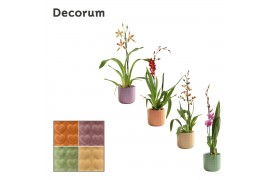 Cambria mix 1 tak in kaya craft world decorum