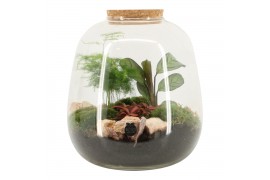 Arrangementen kamerplanten 90663: Terrarium