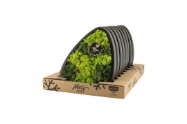 Decoration material 90655: Moss Art arrangement D33