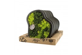 Decoration material 90654: Moss Art arrangement D36