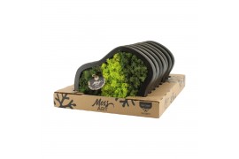 Decoration material 90653: Moss Art arrangement D30