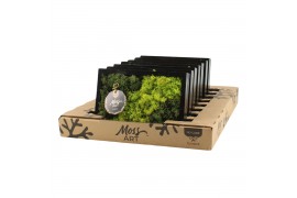 Decoration material 90648: Moss Art arrangement D24