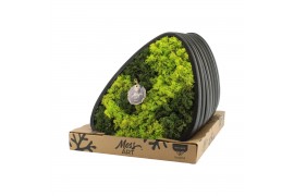 Decoration material 90656: Moss Art arrangement D39