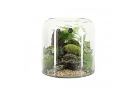 Arrangementen kamerplanten 90629: Landscape arrangement 4 pp