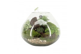 Arrangementen kamerplanten 90628: Landscape arrangement 4 pp