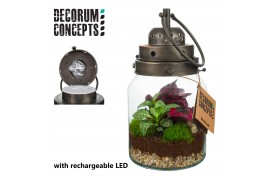 Arrangementen kamerplanten Terrarium Stormlamp medium (Decorum Concept