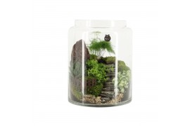 Arrangementen kamerplanten 90631: Landscape