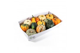 Cucurbita pepo Sierfruit mix 12