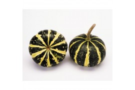 Cucurbita Flatt Striped 30