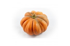 Cucurbita Muskaat pompoen /  Muscat de Provence 2