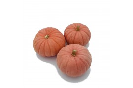 Cucurbita pepo Miss Sophie Pink 8