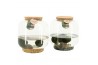 Arrangementen waterplanten 90688: Marimo arrangement 3 pp