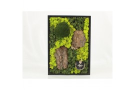 Decoration material 90702: Moss Art arrangement D38