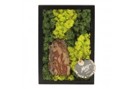 Decoration material 90701: Moss Art arrangement D24