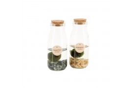 Arrangementen waterplanten 90545: Marimo moss ball