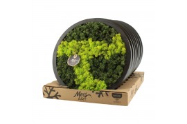 Decoration material 90651: Moss Art arrangement D38