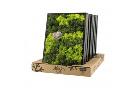 Decoration material 90649: Moss Art arrangement D38