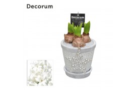 Arrangementen hyacinthus Crackle Pot Maxi  HL18212WP [BLACK & WHITE]