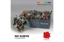 Kalanchoe secret Kalanchoe No Sleeve - Red with Snow and Glitter 3 pp