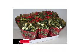 Rosa kordana mix schaal met kersthoes en glitter (3wit+3rood)