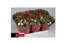 Rosa kordana mix schaal met kersthoes en glitter (3wit+3rood)