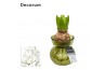 Arrangementen hyacinthus Hyacinth in Glass HL32080WP [SPECIAL] 1 pp 30