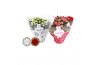 Kalanchoe rosalina 2 kl. rood en wit TST met glitter