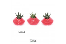 Succulenten TRULY Succulent, Lip mini 1 pp