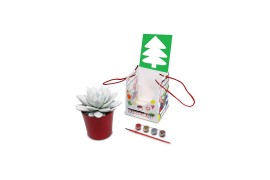 Arrangementen succulenten Paint Your Plant - Christmas tree blank