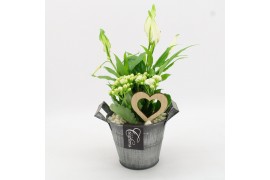 Arrangementen kamerplanten BARM-2514W Basic Romantic 2 pp