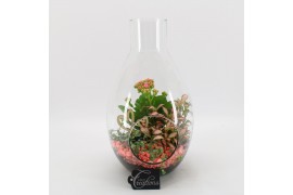 Arrangementen kamerplanten BARM-2506RZ Basic Romantic terrarium 3 pp