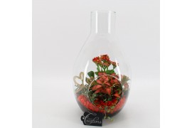 Arrangementen kamerplanten BARM-2506R Basic Romantic terrarium 3 pp