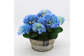 Arrangementen hydrangea KHCR-2510B Hydrangea creatie 2 pp