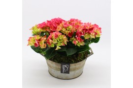 Arrangementen hydrangea KHCR-2510RZ Hydrangea creatie 2 pp