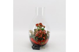 Arrangementen kamerplanten BACR-2505R Basic fundamentals terrarium 3 p