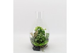 Arrangementen kamerplanten BACR-2505GR Basic fundamentals terrarium 3 