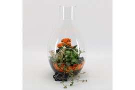 Arrangementen kamerplanten BACR-2505OR Basic fundamentals terrarium 3 