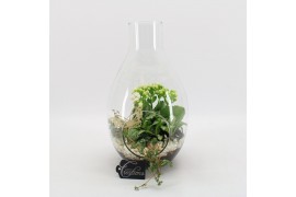 Arrangementen kamerplanten BACR-2505W Basic fundamentals terrarium 3 p