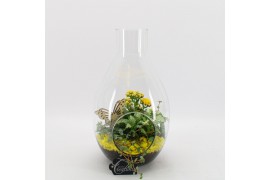 Arrangementen kamerplanten BACR-2505G Basic fundamentals terrarium 3 p