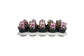 Hyacinthus orientalis mix Carnaval ( 3 kleuren in een pot )