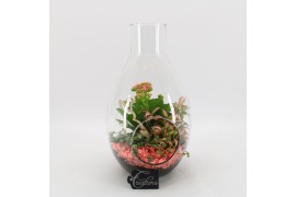 Arrangementen kamerplanten BAPS-2506RZ Basic Pasen terrarium 3 pp