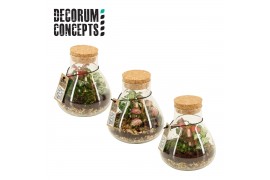 Arrangementen kamerplanten Terrarium Erlenmeyer Nano (Decorum concepts