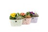 Arrangementen tuinplanten 11450: Outdoor spring arrangement 2 pp